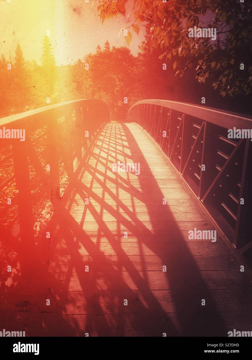Stylized view of foot bridge with long shadows in the wilderness looking very hot in summer - Smartphone Captured Stock Image