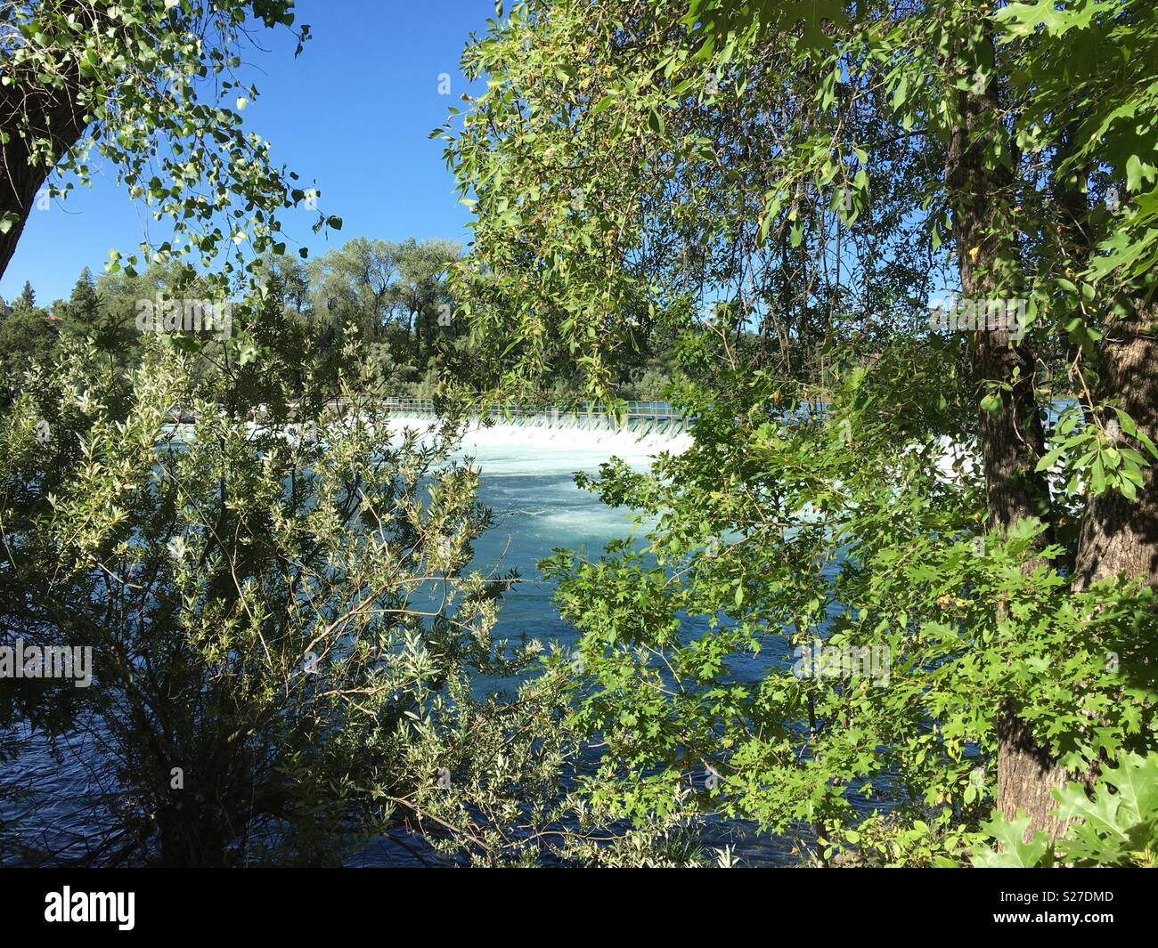 Salmon Viewing Station Caldwell Park Redding California Stock Photo Alamy