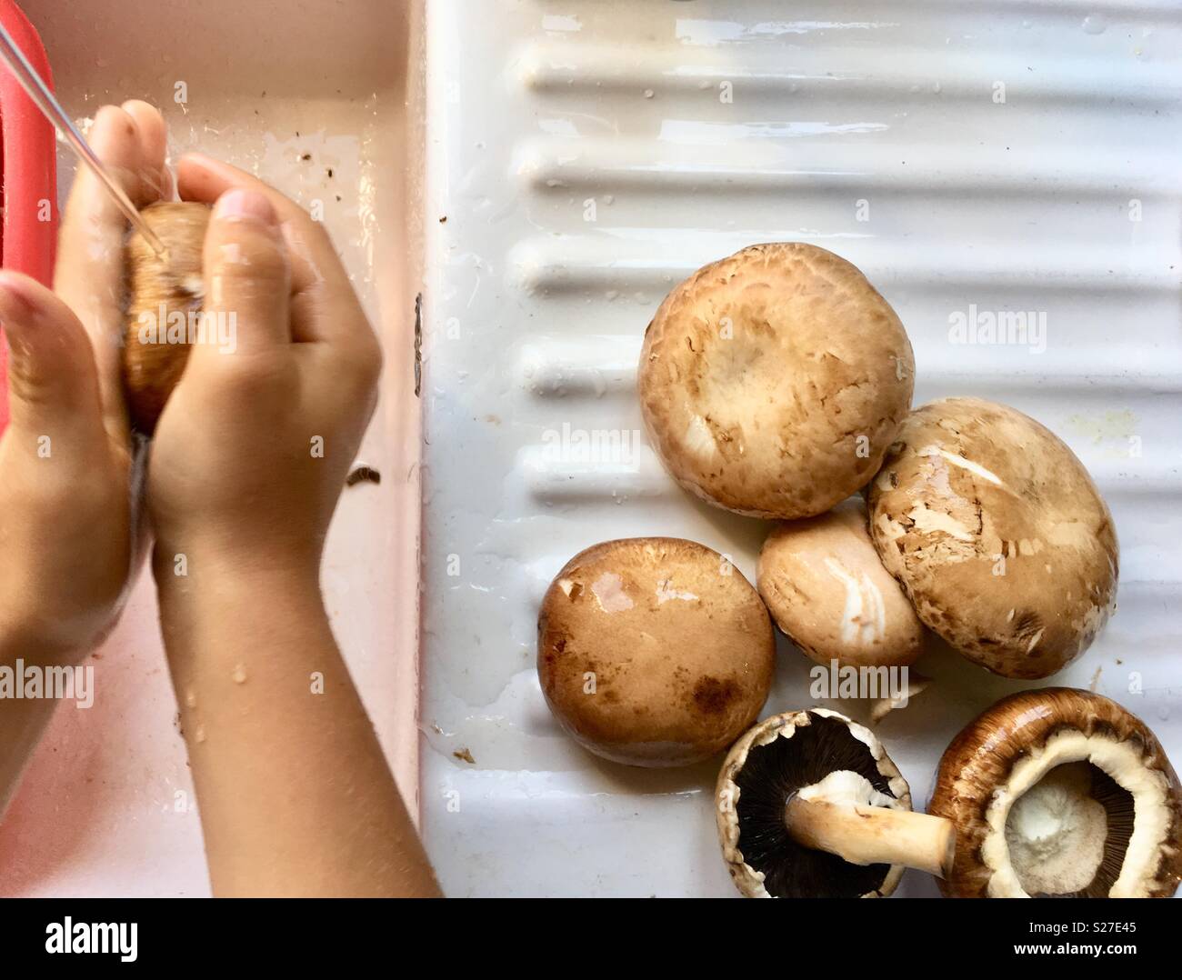 Washing mushrooms - Smartphone Captured Stock Image