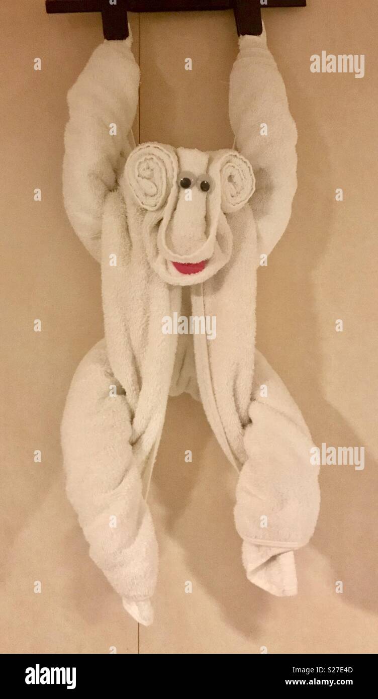 Monkey towel art Stock Photo