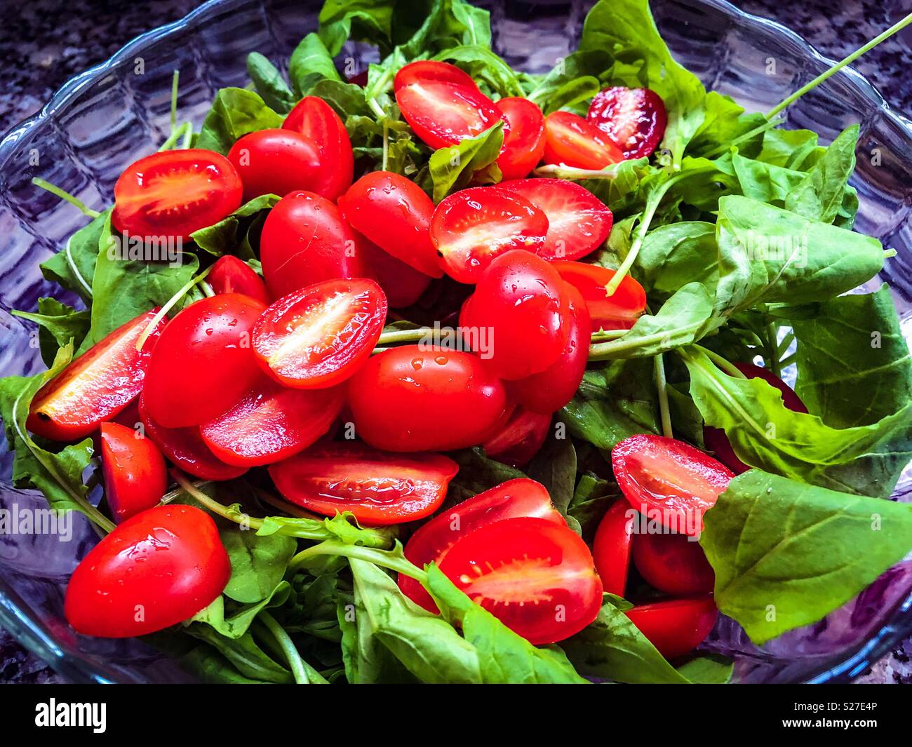 tomato and arugula salad - Smartphone Captured Stock Image
