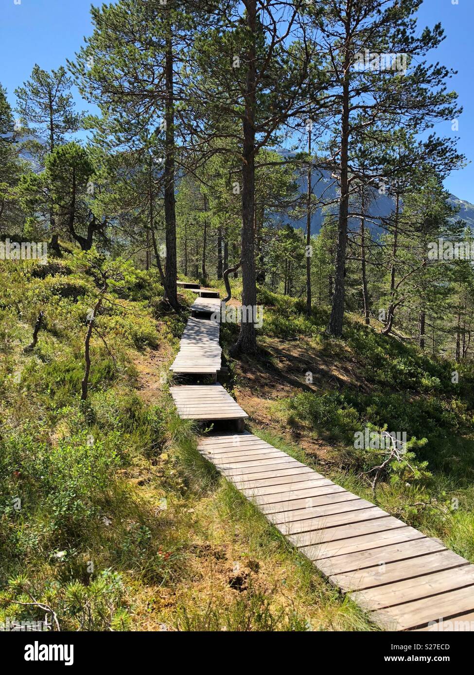 Erosion control footpath in Norway Stock Photo