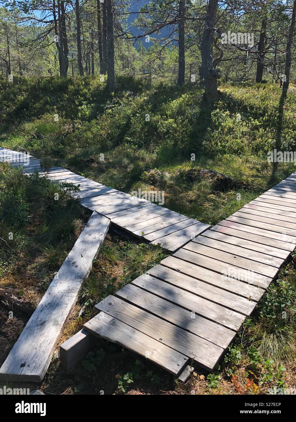 Wooden decking for erosion control in Norway Stock Photo