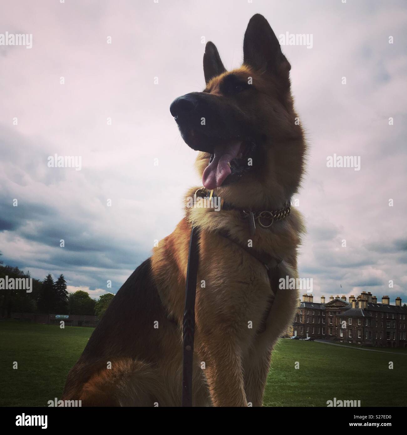 King of the castle hi-res stock photography and images - Alamy