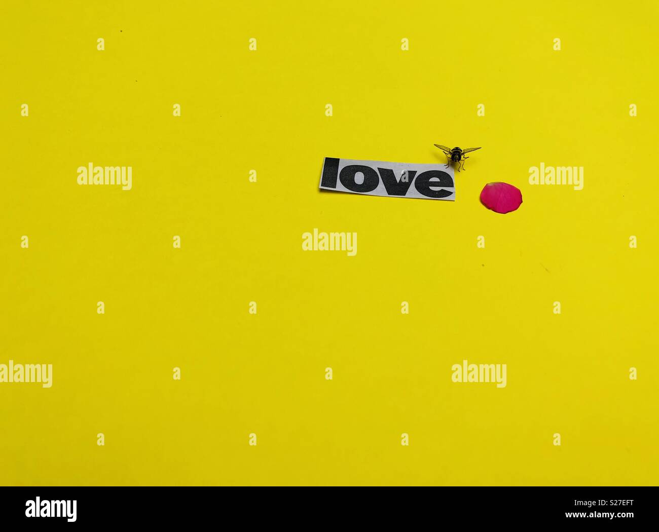 Love concept with a bee on a yellow background - Smartphone Captured Stock Image