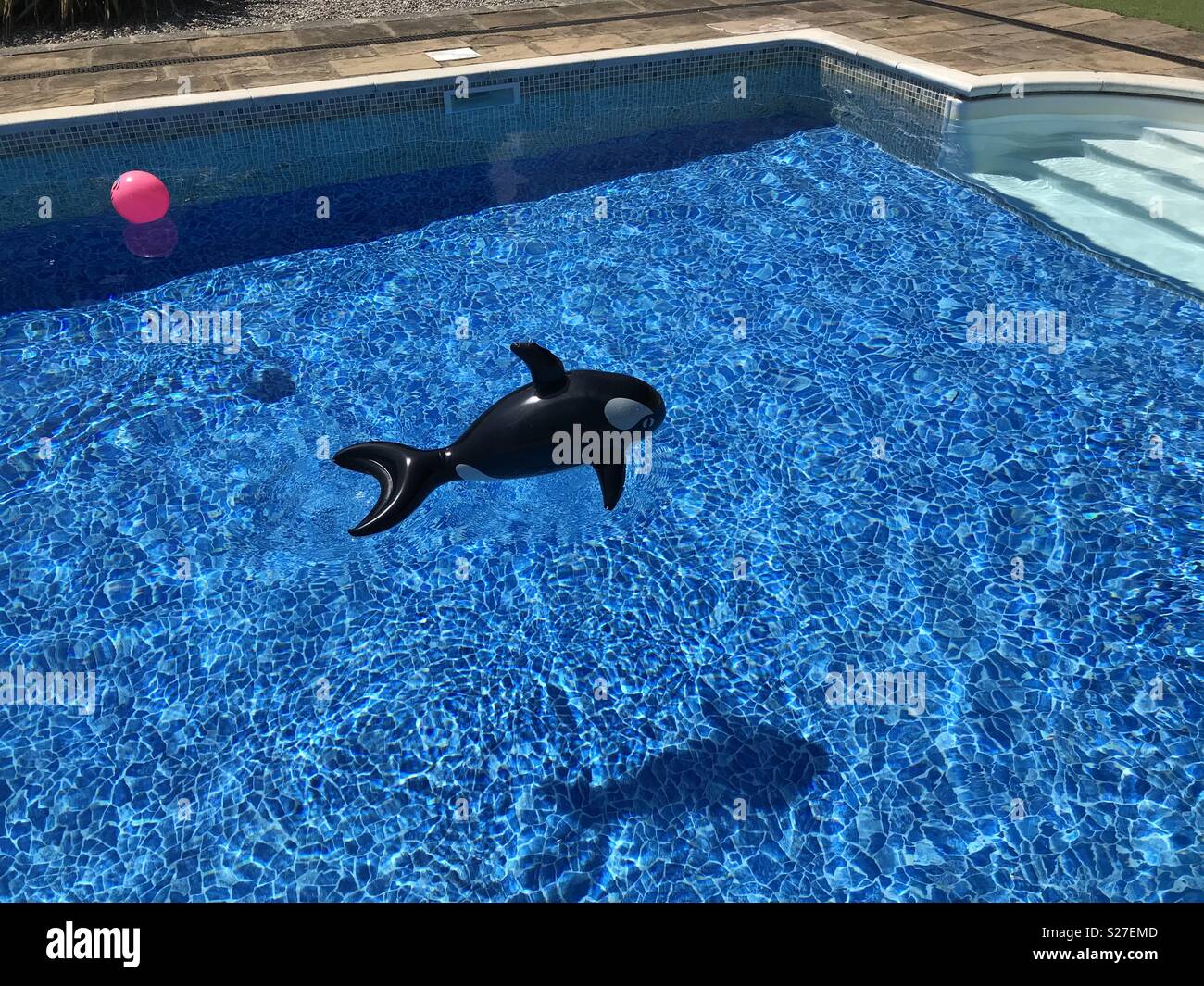 Inflatable killer whale and ball in an outdoor swimming pool Stock Photo