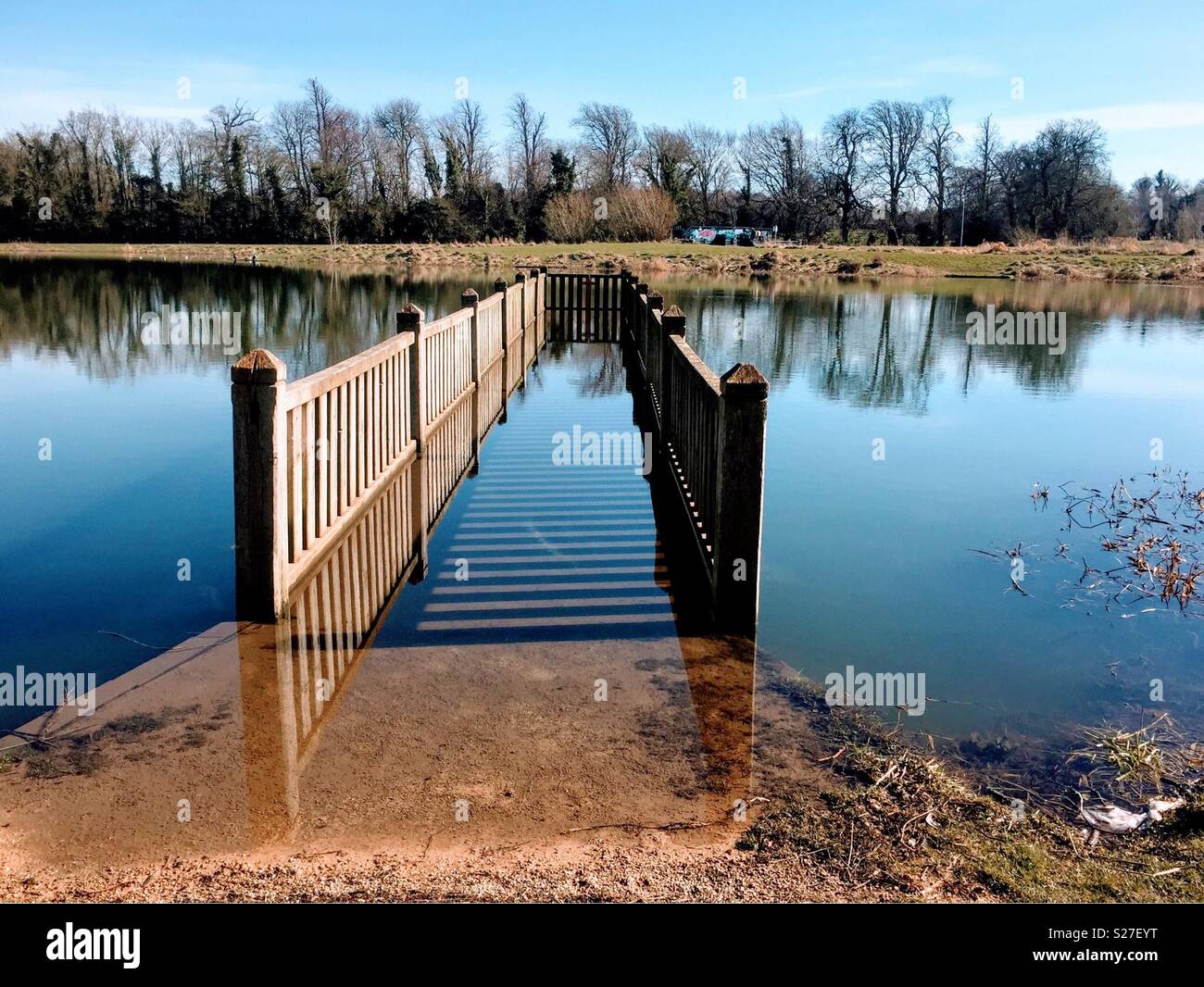 A flooded boardwalk following heavy rain - Smartphone Captured Stock Image