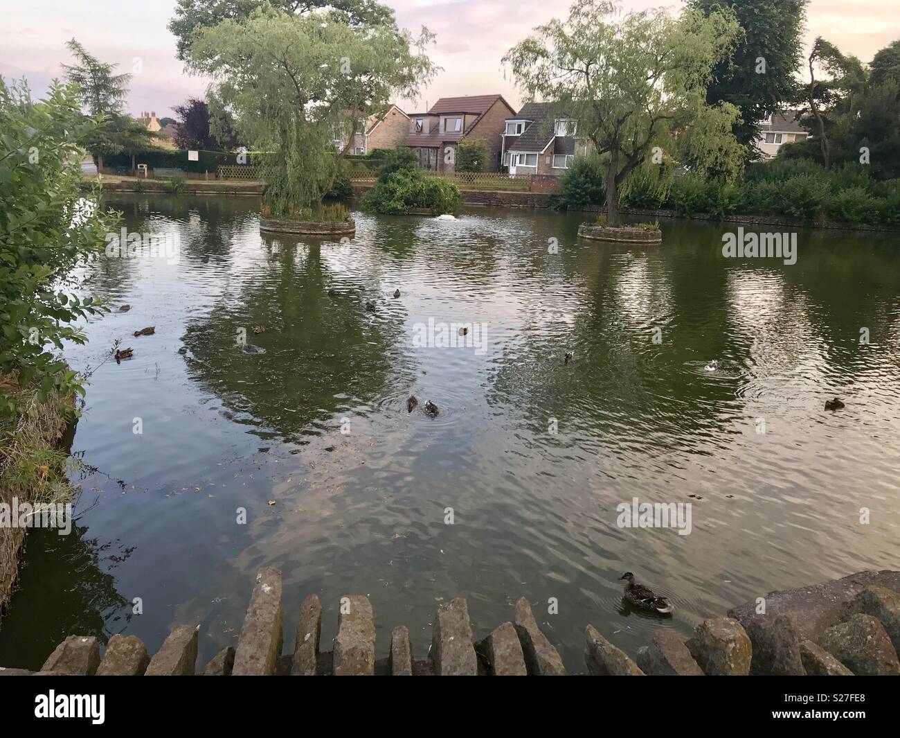 Winterbourne duck pond Bristol Stock Photo