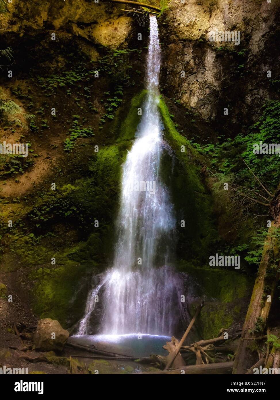 Marymere falls, Olympic National Park, Washington state, USA. - Smartphone Captured Stock Image