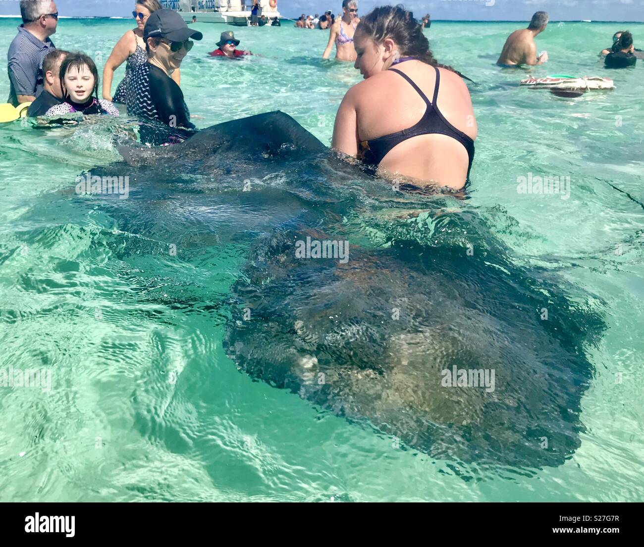 Stingray city grand cayman - Smartphone Captured Stock Image