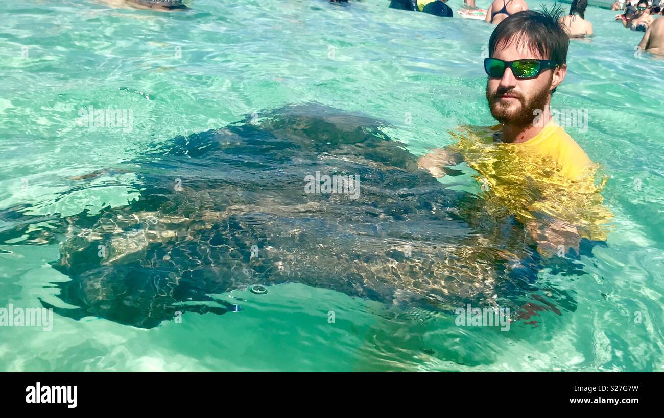 Stingray city grand cayman - Smartphone Captured Stock Image
