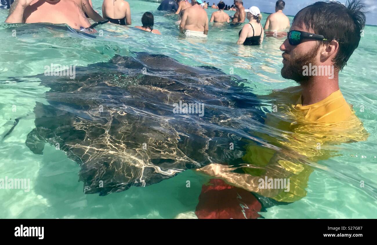 Stingray city grand cayman - Smartphone Captured Stock Image