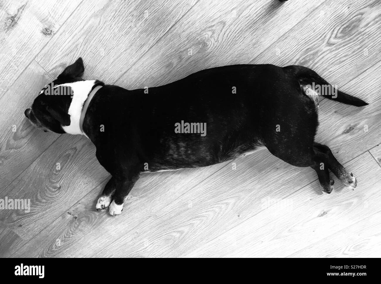 Sleeping on floor Black and White Stock Photos & Images Alamy