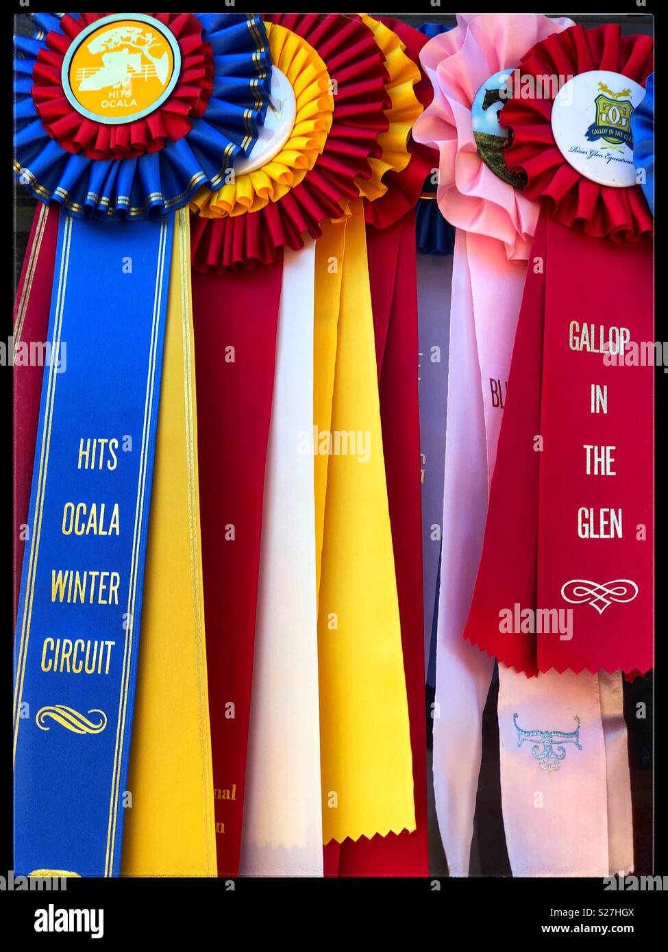 Horse club ribbons hires stock photography and images Alamy