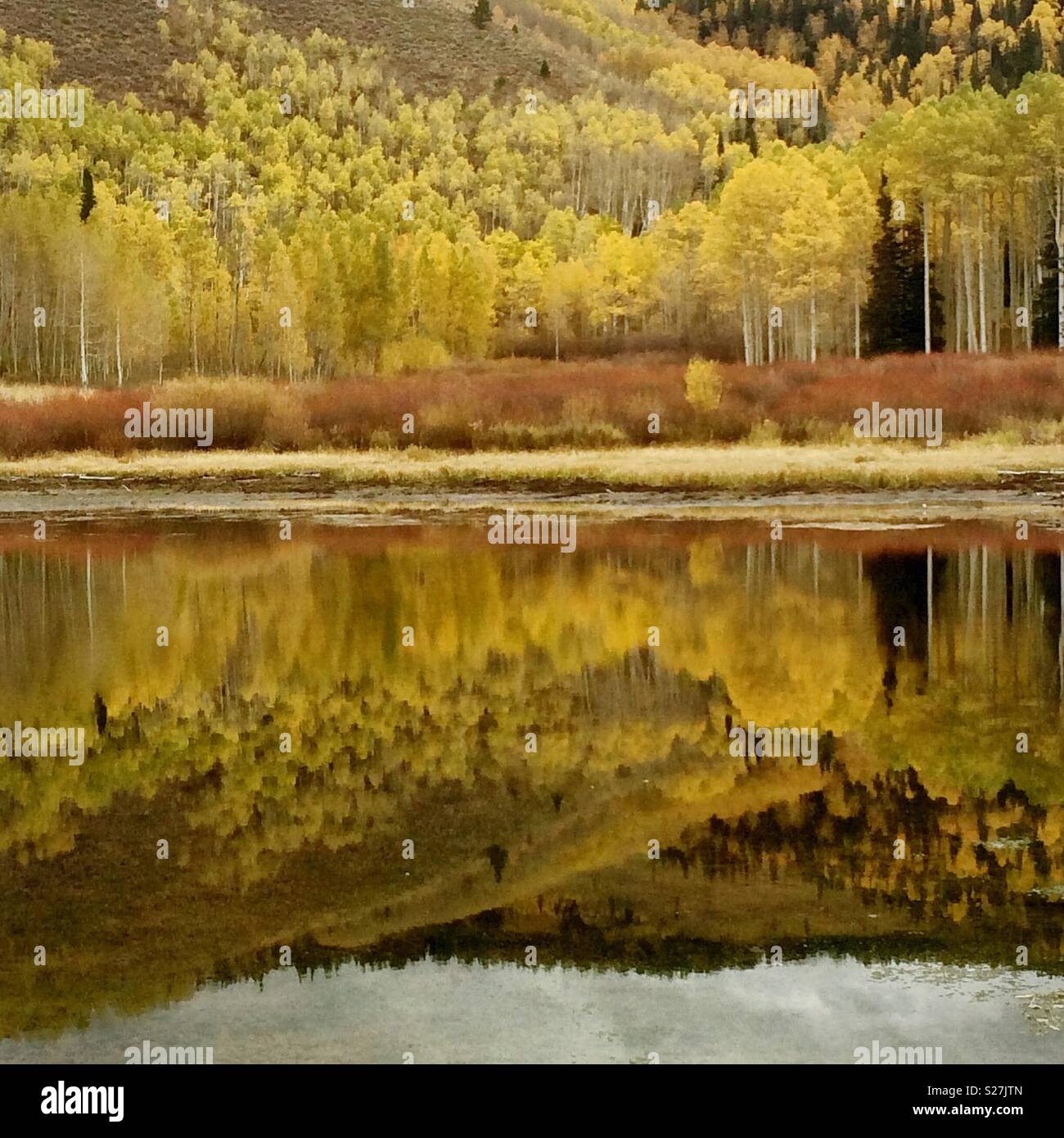 Fall Mountain Reflection - Smartphone Captured Stock Image