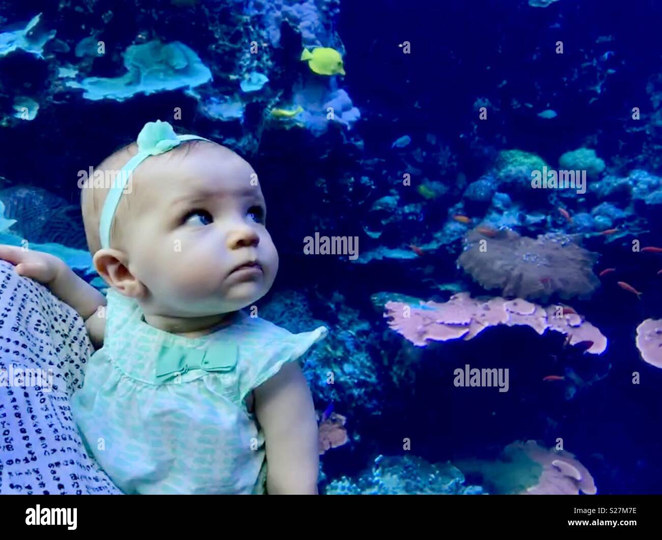 Georgia Aquarium Stock Photo