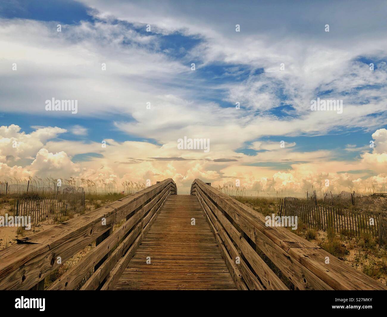 Walk way to beach - Smartphone Captured Stock Image