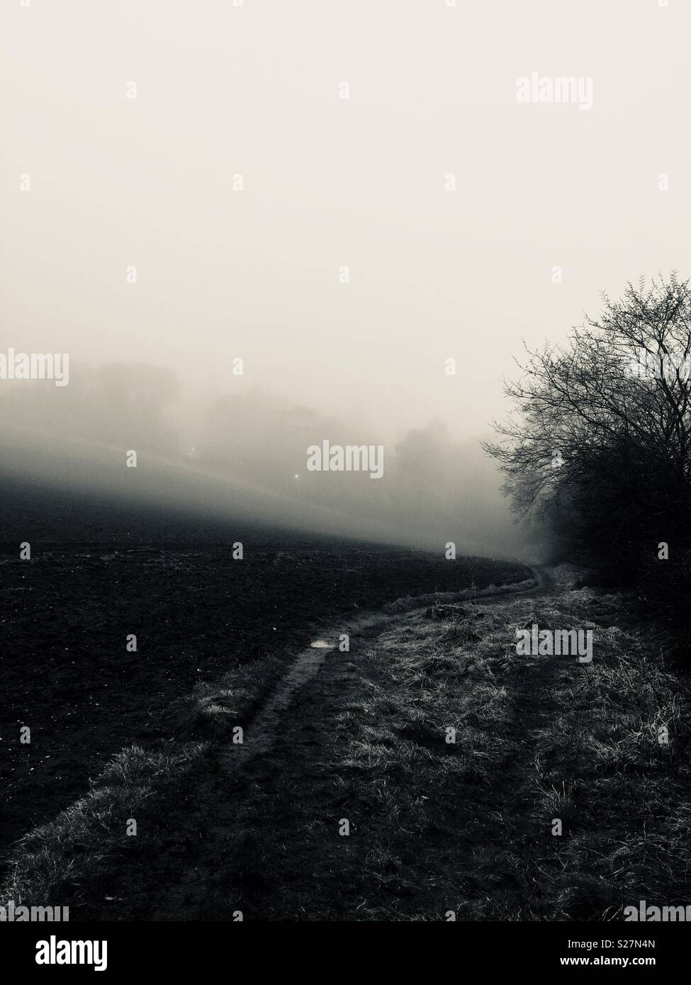 Misty field - Smartphone Captured Stock Image
