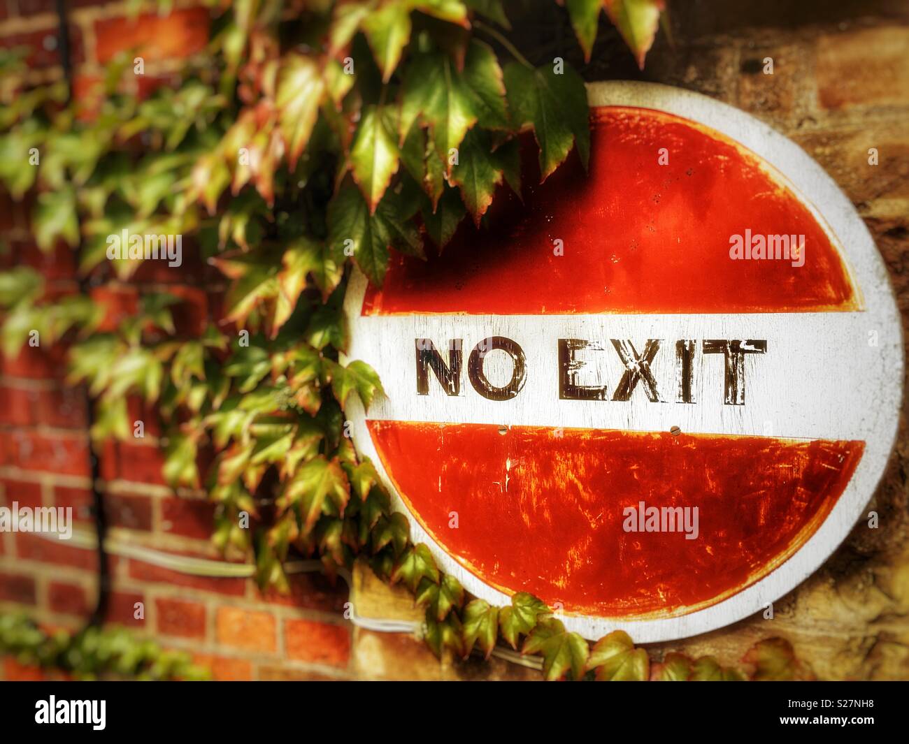 No exit road sign Stock Photo - Alamy