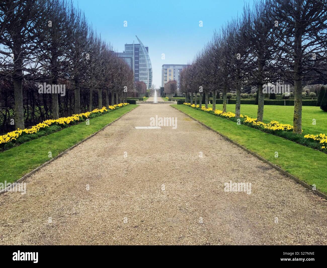 A tree lined avenue, daffodils growing along the side, a fountain in the center,in the Royal Hospital Kilmainham, Dublin,Ireland, and the buildings of the Hueston South Quarter in the background. - Smartphone Captured Stock Image