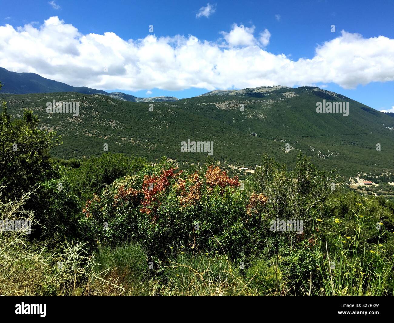 Scenic view of Kefalonia Greece - Smartphone Captured Stock Image