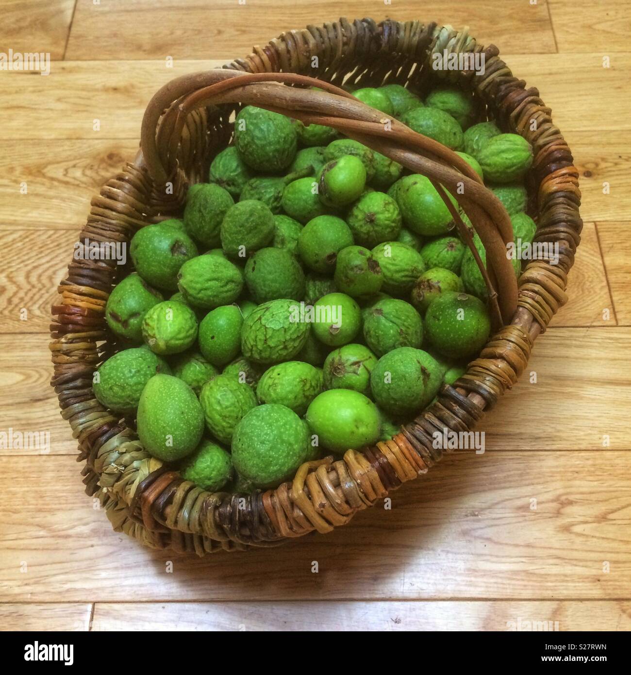 Wicker basket filled with freshly picked walnuts - Smartphone Captured Stock Image