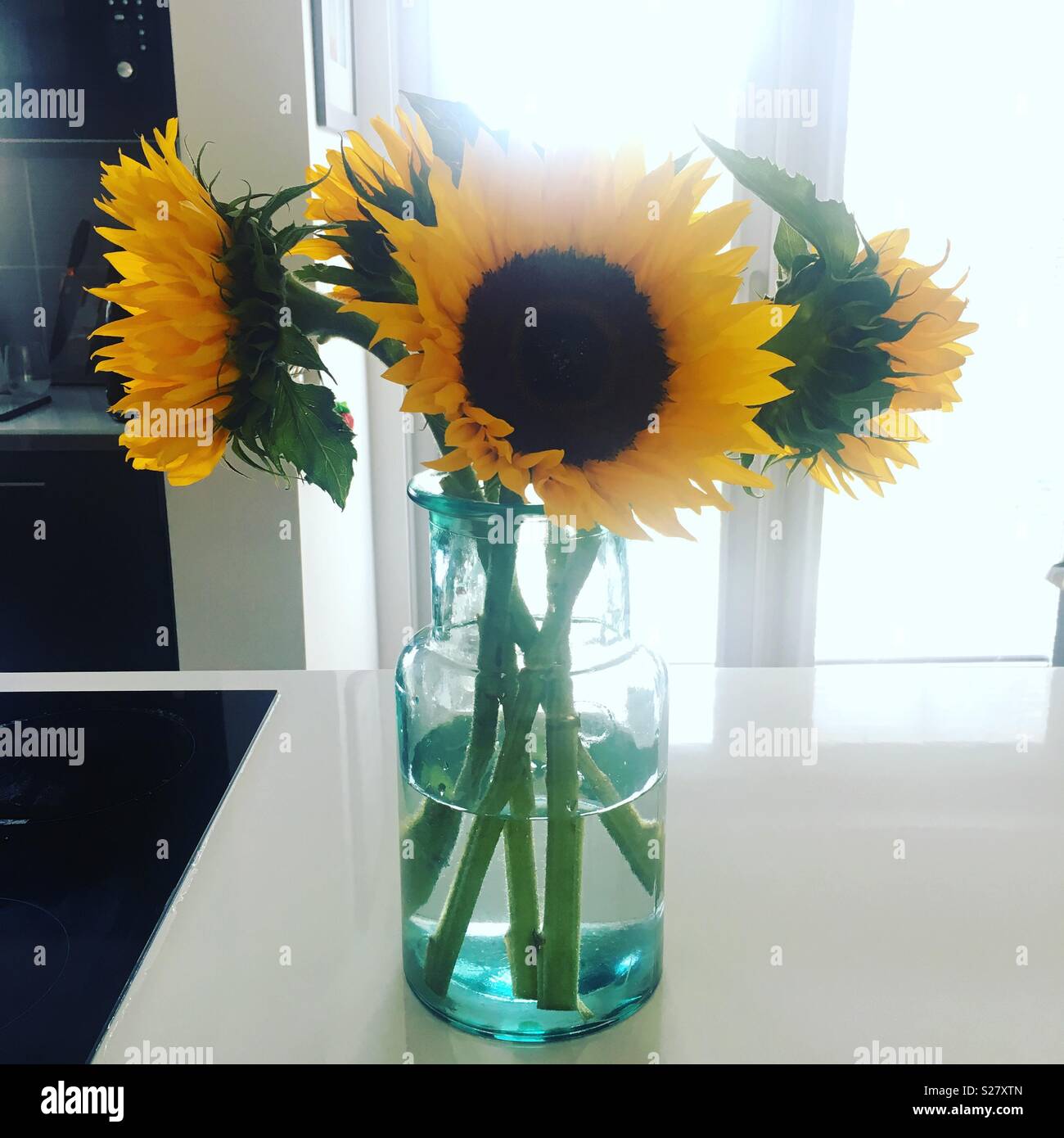 Sunflowers in a glass vase Stock Photo Alamy