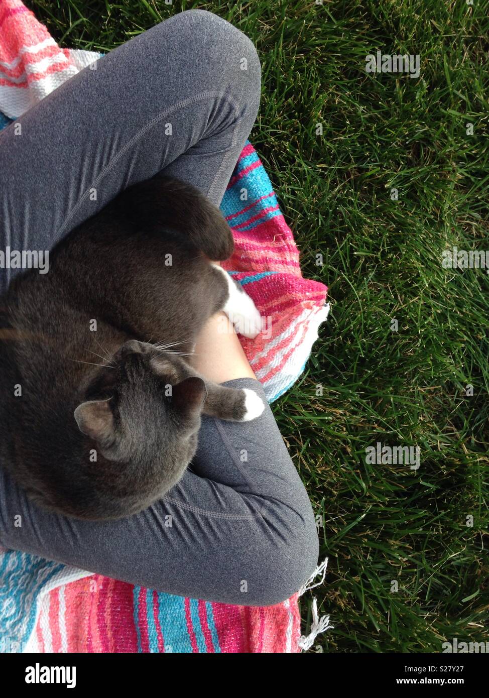 Cat sitting on woman's lap, woman sitting outside with cat - Smartphone Captured Stock Image
