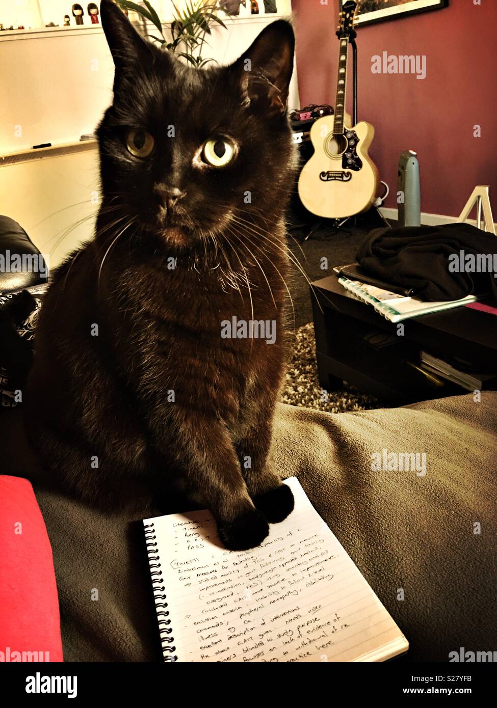 Don't Study, Play with Me! Stock Photo