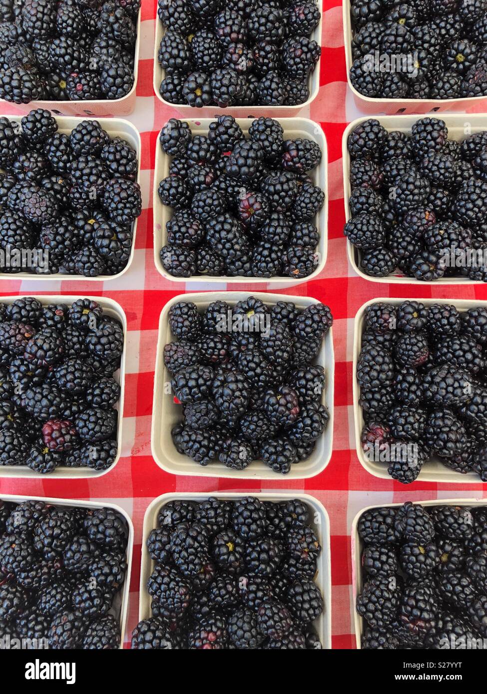Baskets of blackberries at the Berkeley Farmers Market Stock Photo Alamy
