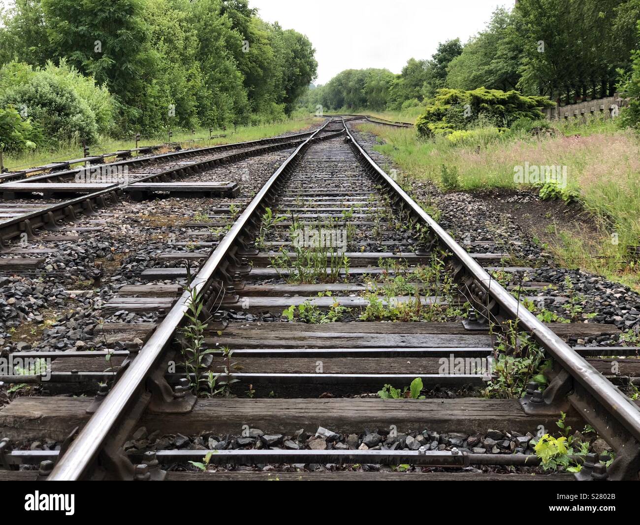 Train tracks leading into the countryside - Smartphone Captured Stock Image