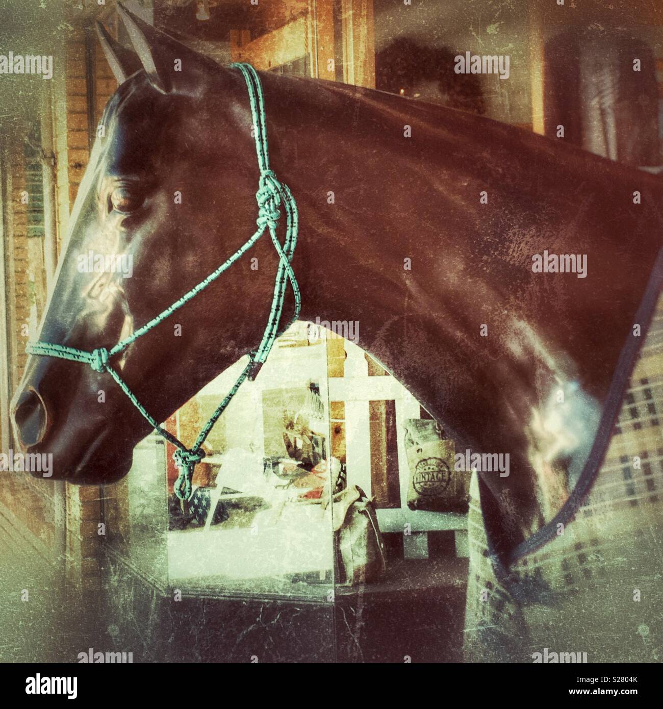 Vintage horse tack hires stock photography and images Alamy