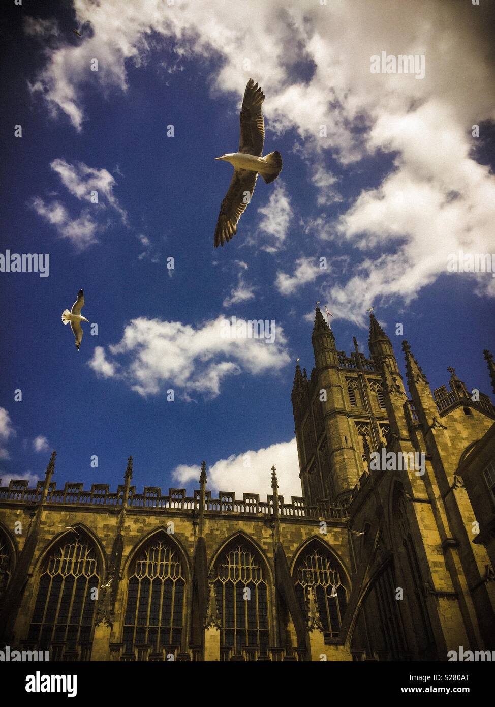 Seagulls flying in the blue and cloudy sky around Bath Abbey. Stock Photo