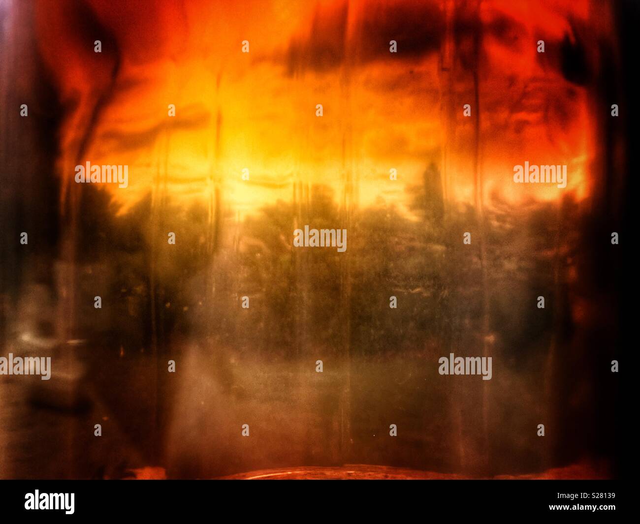 Apocalypse or view of trees through vintage brown bottle - Smartphone Captured Stock Image