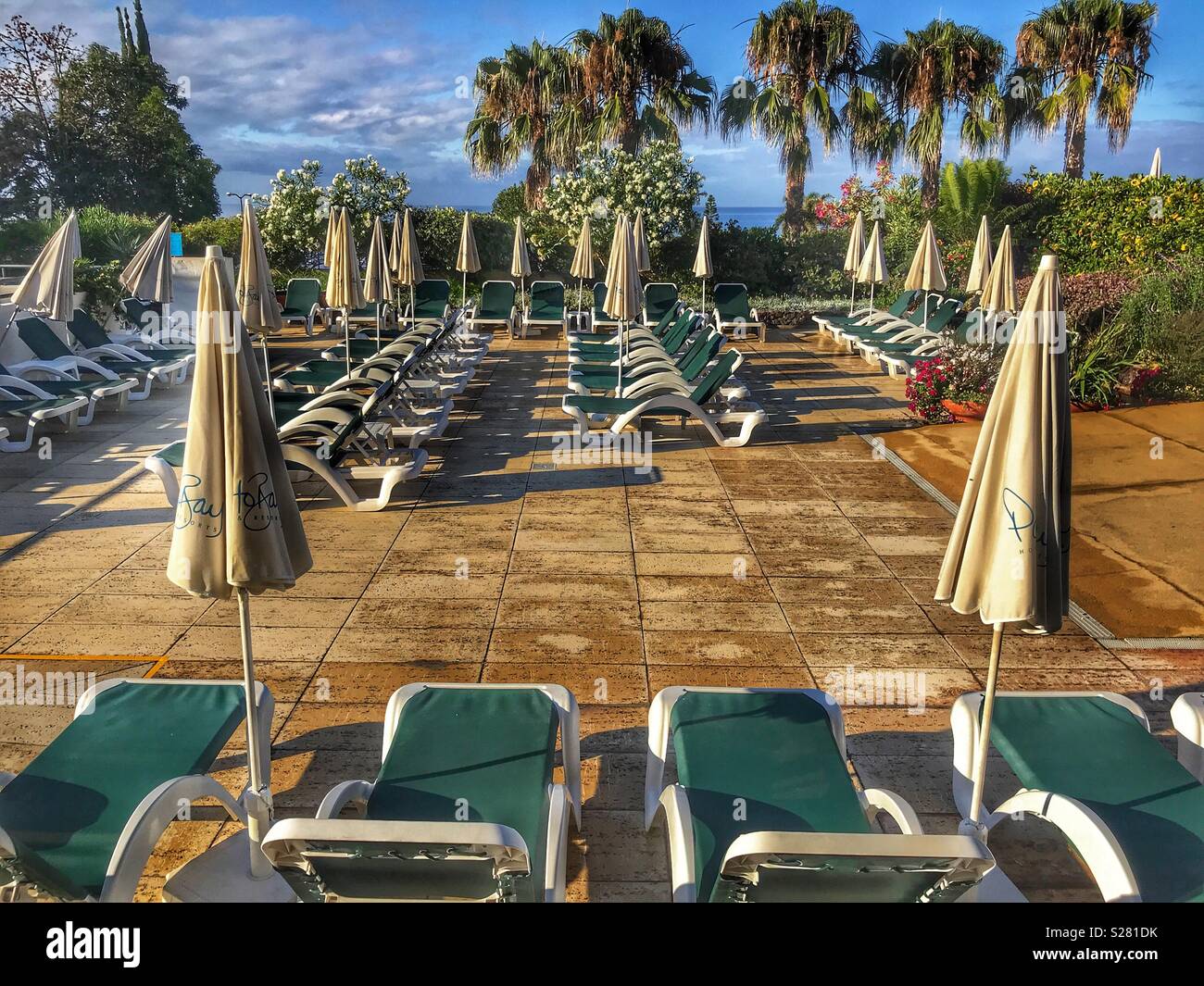 Rows of empty sun loungers with sun shades down, early morning in the gardens of a resort hotel, Funchal, Madeira, Portugal Stock Photo