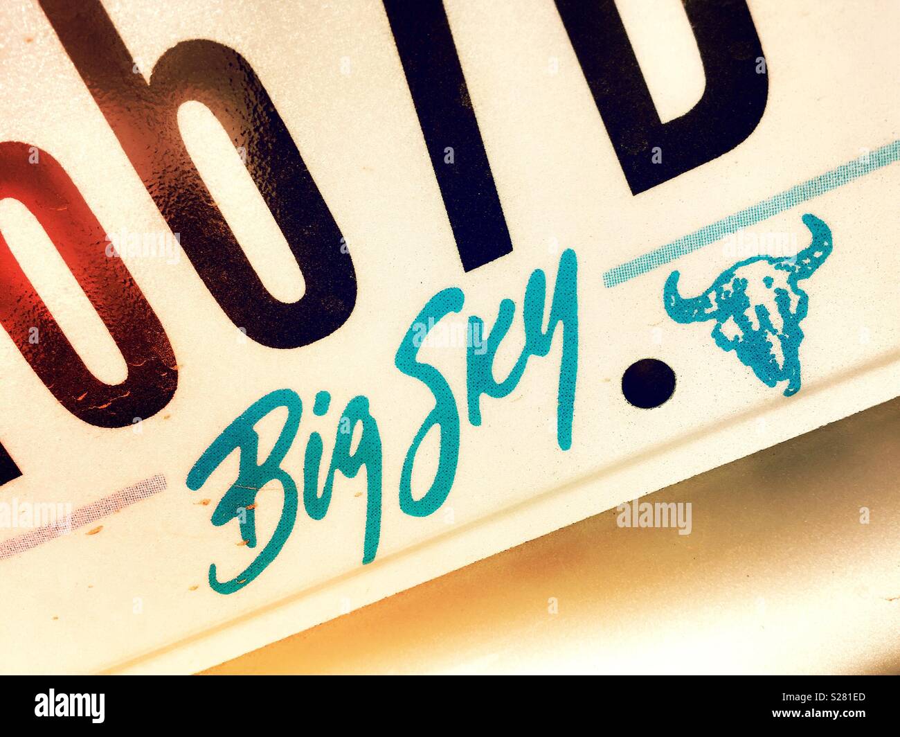 Montana license plate with state motto big sky country and buffalo skull symbol, USA Stock Photo