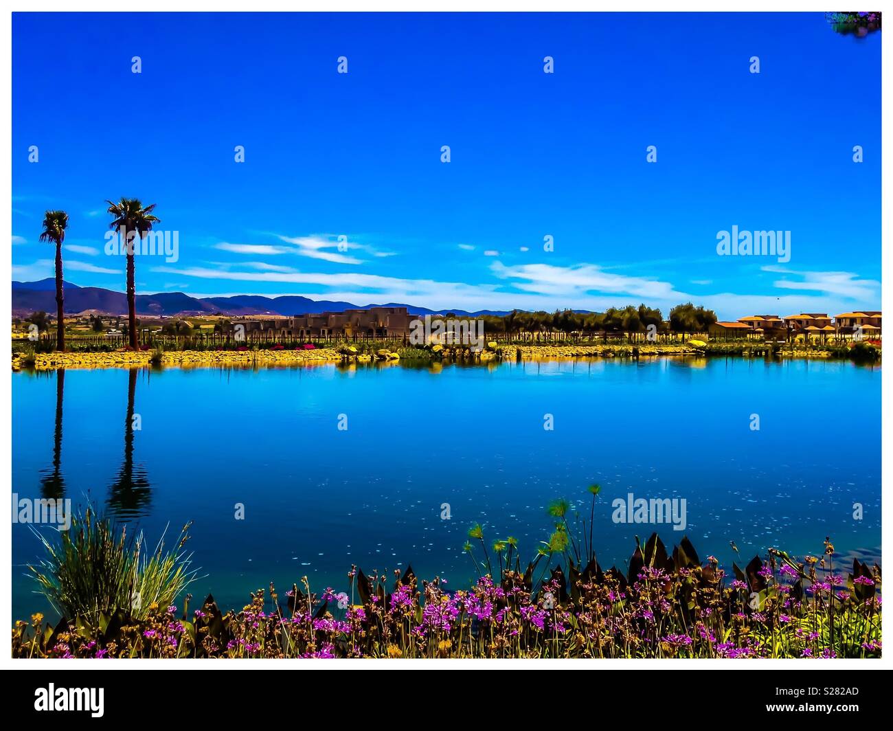 Lake palm trees landscape hi-res stock photography and images - Alamy