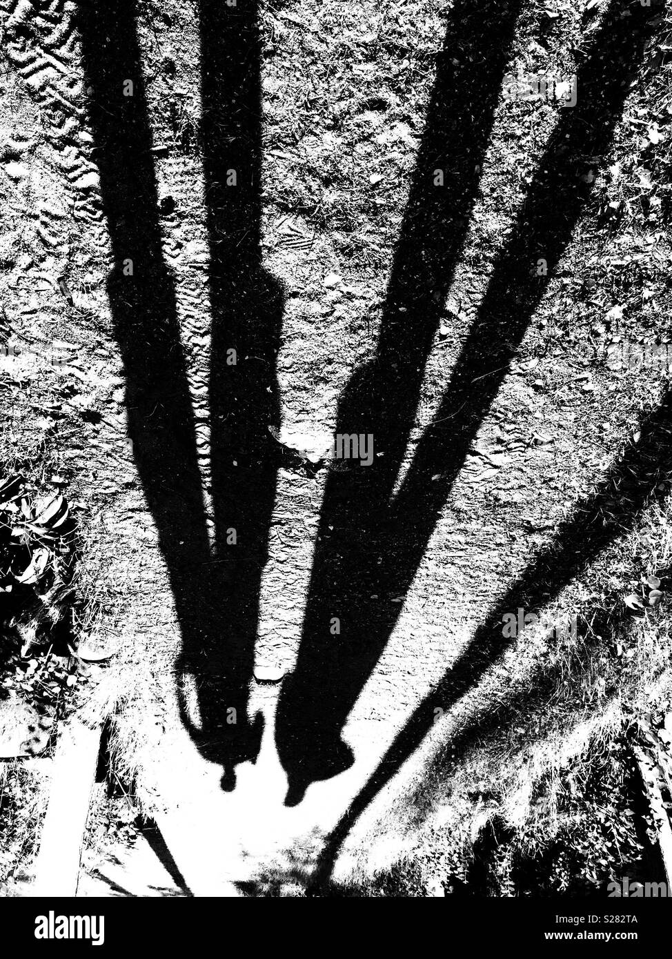 Human shadows - Smartphone Captured Stock Image