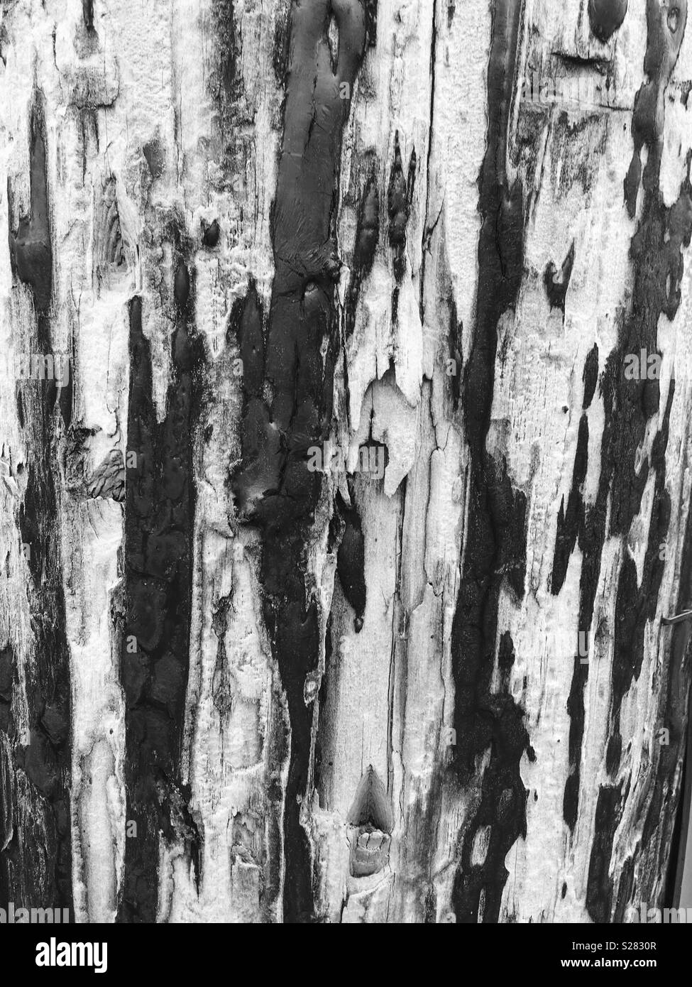 Texture and patterns in tar on wooden surface Stock Photo Alamy