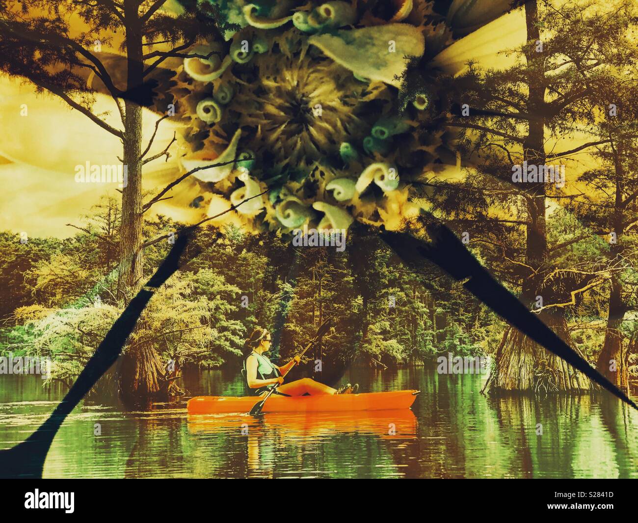 Woman kayaking and flower double exposure - Smartphone Captured Stock Image