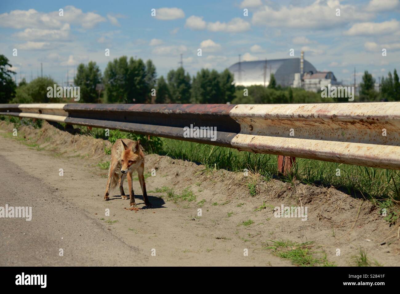 Radioactive food chernobyl hi-res stock photography and images - Alamy