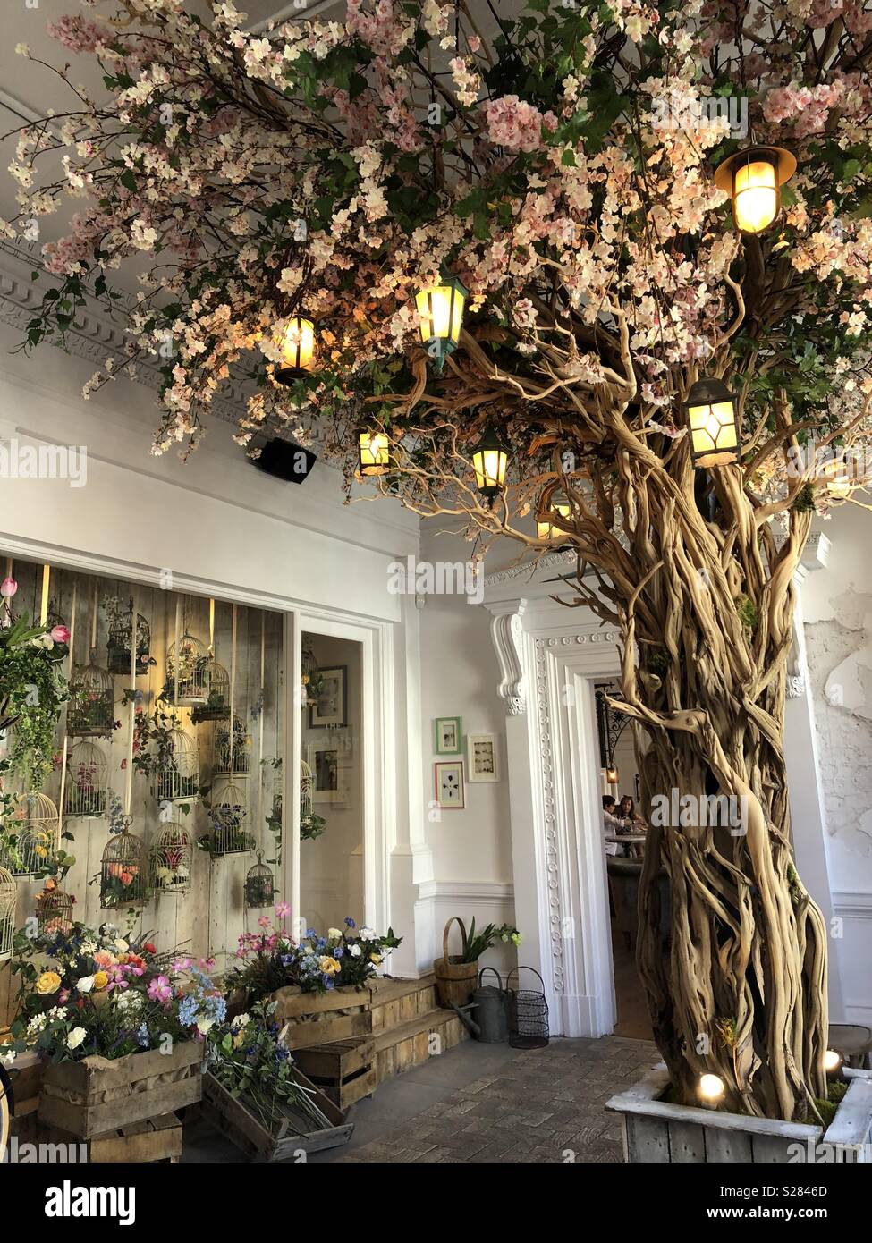 Florist Liverpool Stock Photo Alamy