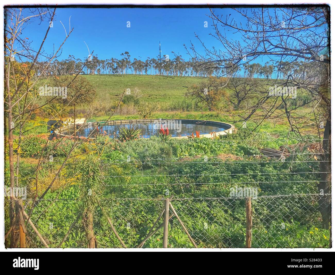 Dam in Church Street, Tulbagh, Western Cape Province, South Africa. - Smartphone Captured Stock Image