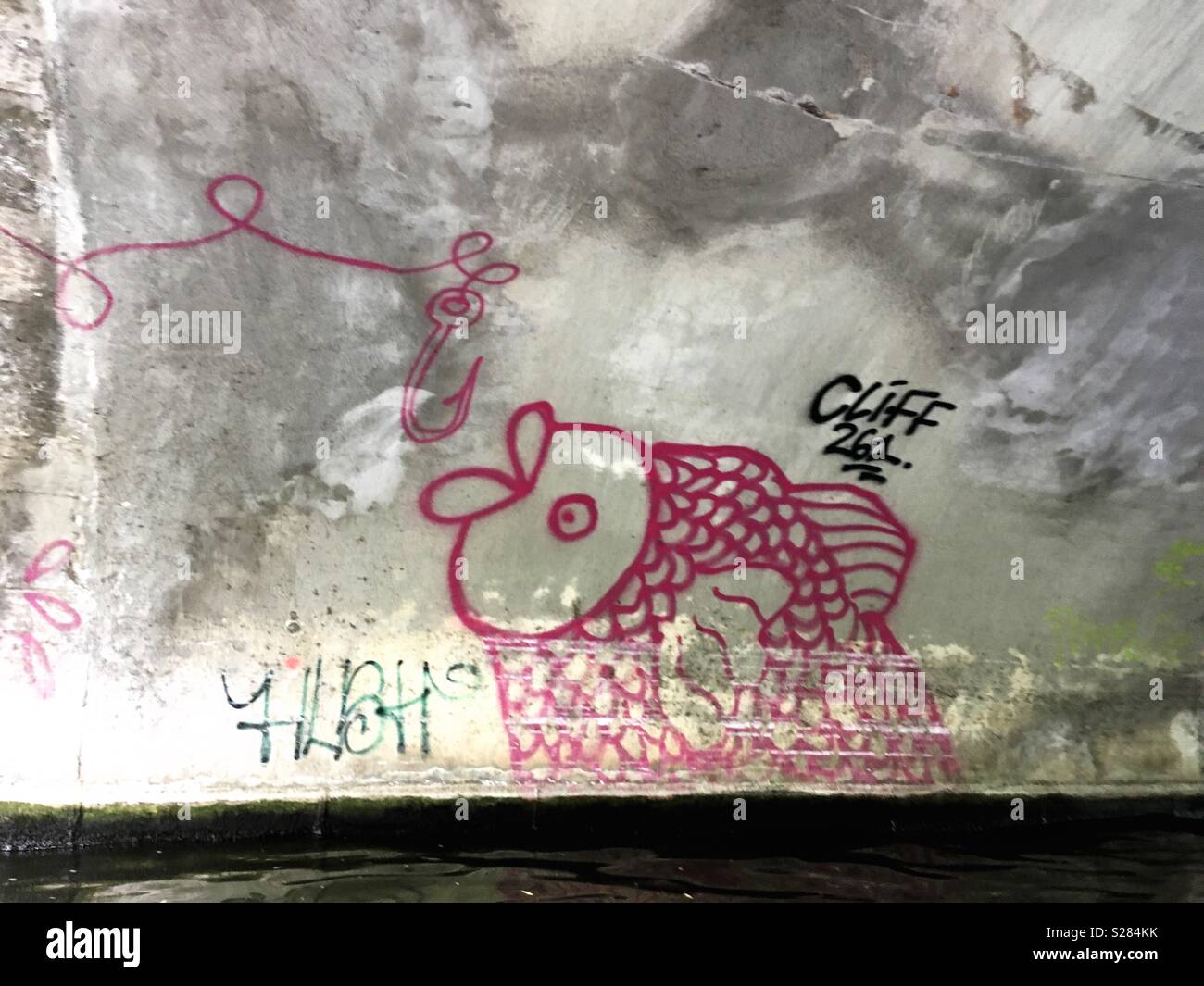 Fish - Smartphone Captured Stock Image