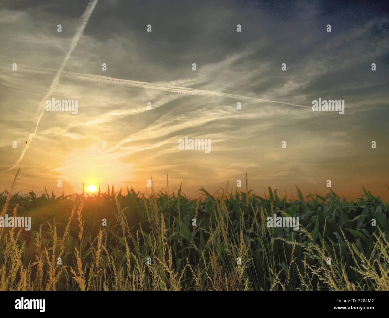 Rural sunrise or sunset landscape - Smartphone Captured Stock Image