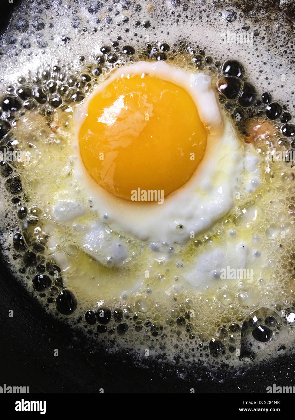 Egg being fried in pan. Stock Photo