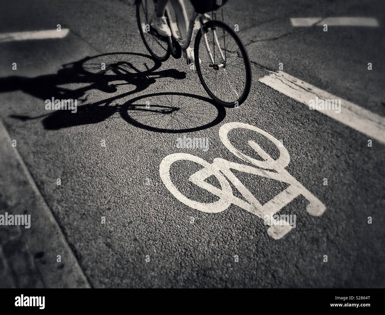A cyclist rides down a dedicated bicycle lane in perfect sunshine. An interesting image to illustrate environmental awareness and bring us away from dependence on fossil fuels. Photo- © COLIN HOSKINS. - Smartphone Captured Stock Image