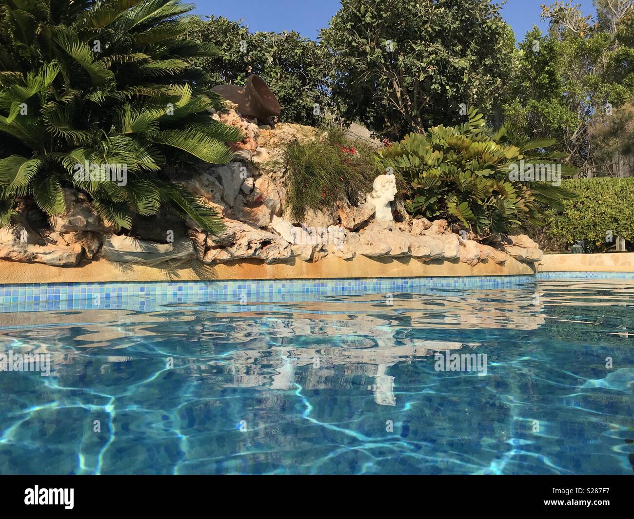 Swimming pool and rockery with a Sago palm (Cycas revoluta) and a Roman bust, in a Mediterranean garden, low angle view Stock Photo
