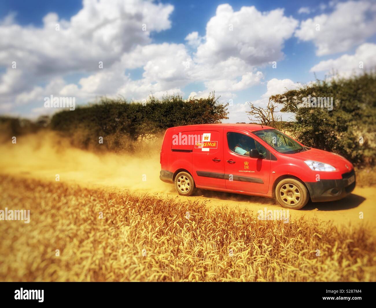 Postman on rural delivery during the hot dry summer of 2018, Ramsholt, Suffolk, England. - Smartphone Captured Stock Image