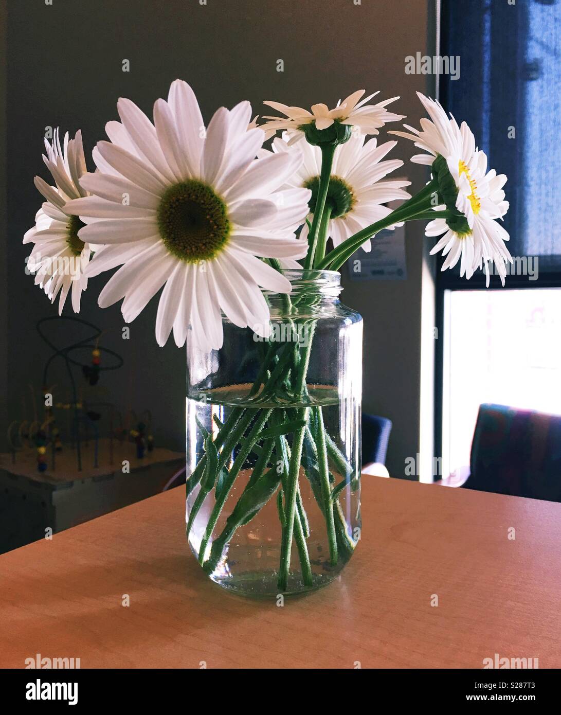 A jar of daisies on a counter. Stock Photo